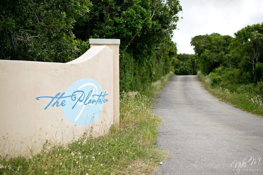 Bed and Breakfast The Plantation Port Elizabeth Exteriér fotografie