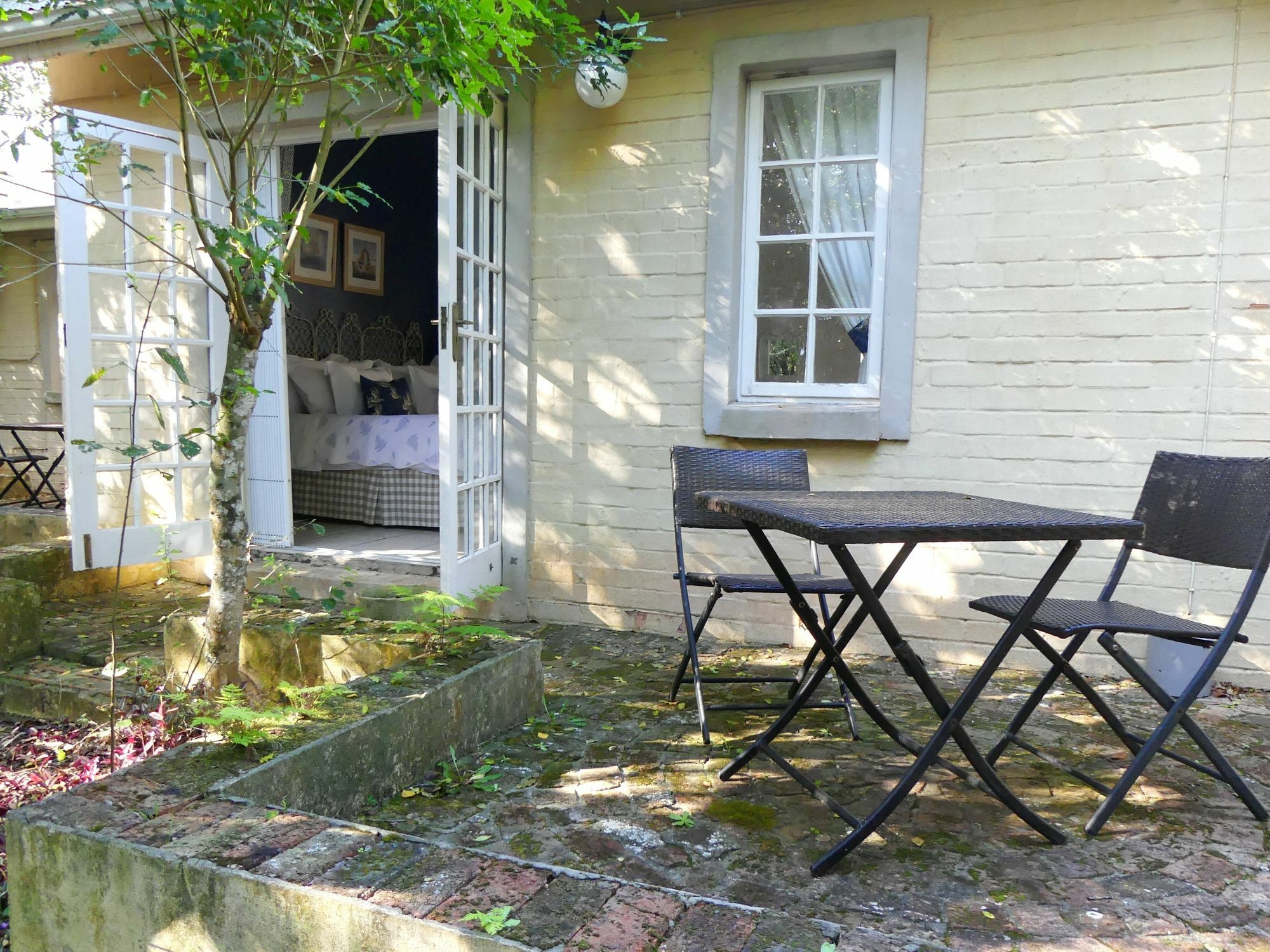 Bed and Breakfast The Plantation Port Elizabeth Exteriér fotografie