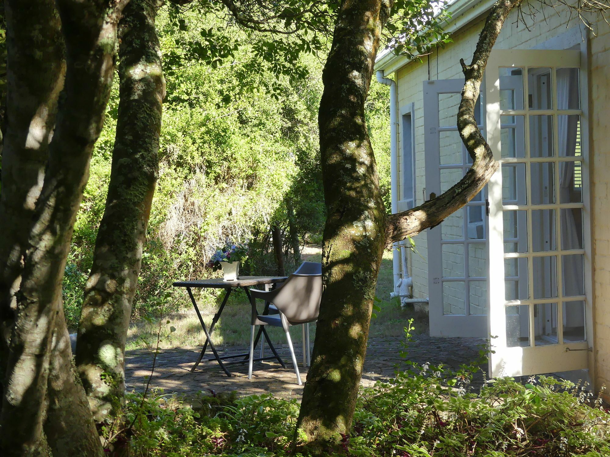 Bed and Breakfast The Plantation Port Elizabeth Exteriér fotografie